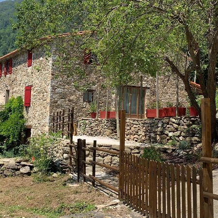 Mas Graffouil Διαμέρισμα Prats-de-Mollo-la-Preste Εξωτερικό φωτογραφία