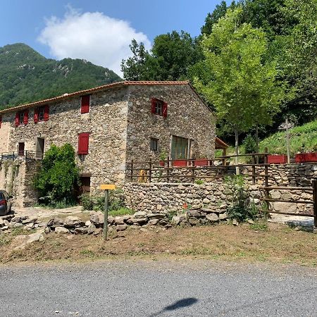Mas Graffouil Διαμέρισμα Prats-de-Mollo-la-Preste Εξωτερικό φωτογραφία