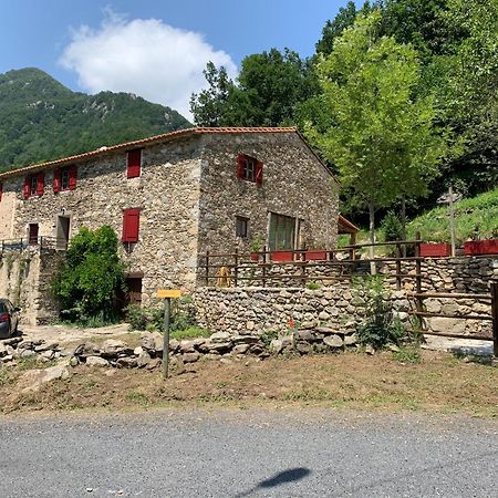 Mas Graffouil Διαμέρισμα Prats-de-Mollo-la-Preste Εξωτερικό φωτογραφία