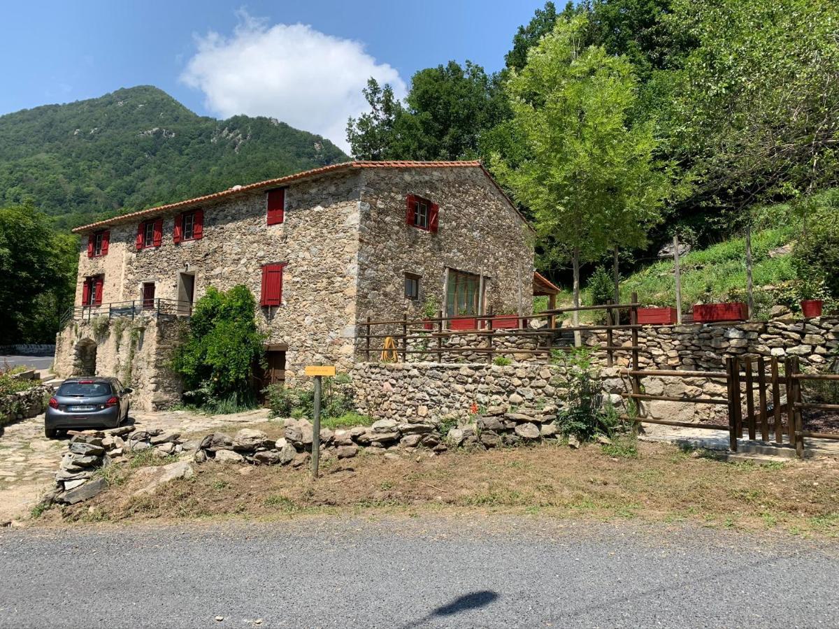 Mas Graffouil Διαμέρισμα Prats-de-Mollo-la-Preste Εξωτερικό φωτογραφία