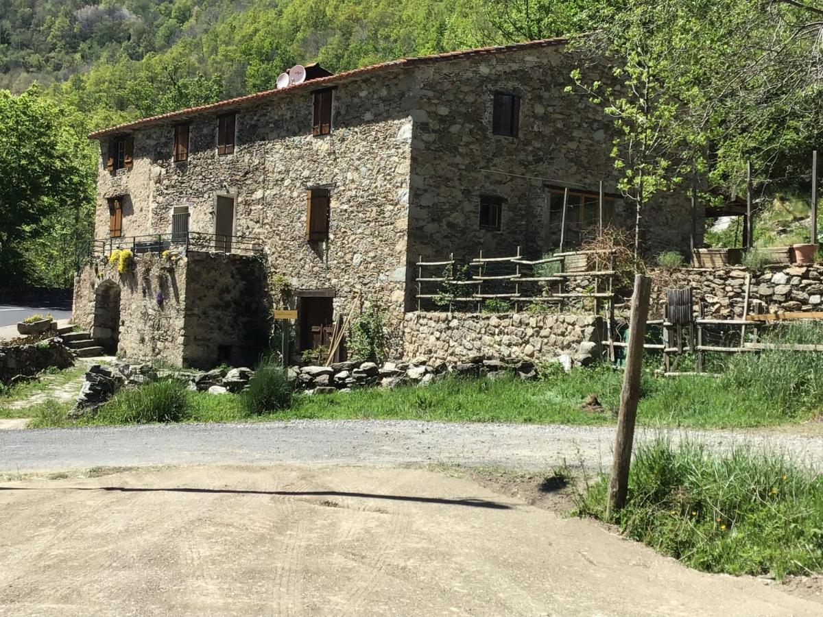 Mas Graffouil Διαμέρισμα Prats-de-Mollo-la-Preste Εξωτερικό φωτογραφία