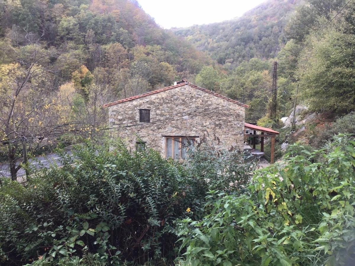 Mas Graffouil Διαμέρισμα Prats-de-Mollo-la-Preste Εξωτερικό φωτογραφία