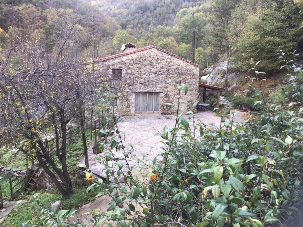 Mas Graffouil Διαμέρισμα Prats-de-Mollo-la-Preste Εξωτερικό φωτογραφία